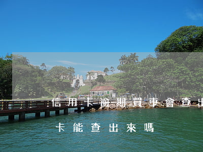信用卡逾期買車會查出來嗎(買車貸款有信用卡能查出來嗎)