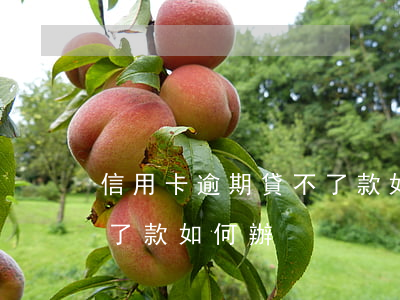 信用卡逾期貸不了款如何辦(信用卡逾期貸不了款如何辦)