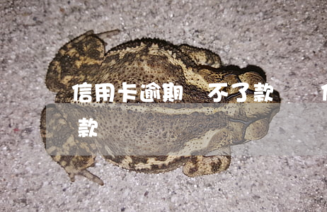 信用卡逾期貸不了款買車（信用卡逾期貸不了款）