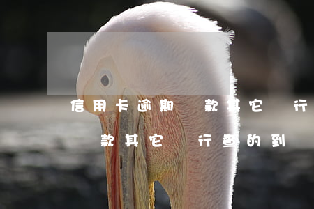 信用卡逾期貸款其它銀行查的到(信用卡逾期貸款其它銀行查的到嗎)