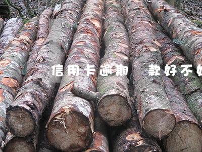 信用卡逾期貸款好不好貸