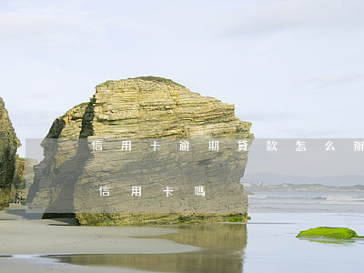 信用卡逾期貸款怎么辦理(貸款逾期還能辦理信用卡嗎)