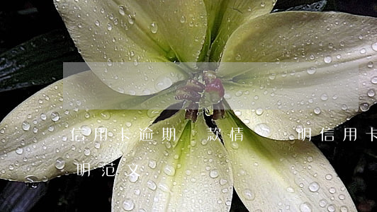 信用卡逾期貸款情況說明(信用卡逾期情況說明范文)