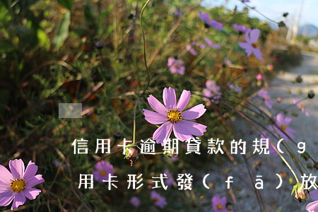 信用卡逾期貸款的規(guī)定(貸款以信用卡形式發(fā)放逾期了)