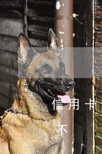 信用卡逾期貸款能辦不(信用卡逾期貸款能辦不)