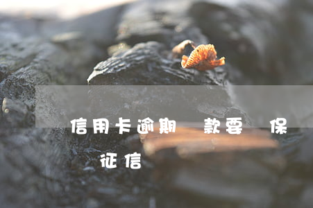 信用卡逾期貸款要買保險嗎(買保險逾期會影響征信嗎)
