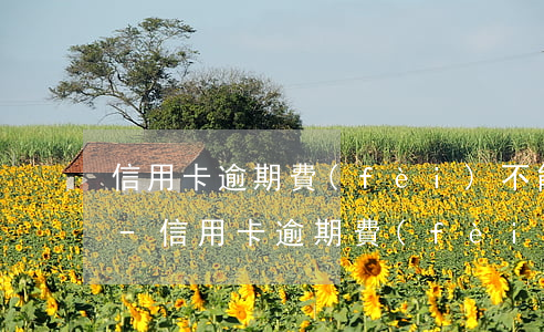 信用卡逾期費(fèi)不能超過本金30-信用卡逾期費(fèi)不能超過本金300元