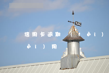 信用卡逾期費(fèi)(信用卡逾期費(fèi)用)