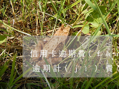 信用卡逾期費(fèi)可以減多少(信用卡逾期計(jì)費(fèi)方式)