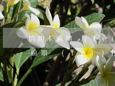 信用卡逾期費(fèi)快超過本金(信用卡逾期費(fèi)用太高)