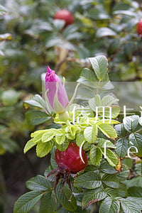 信用卡逾期費(fèi)率高 信用卡逾期費(fèi)率高怎么辦