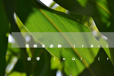 信用卡 逾期 費(fèi)用（信用卡逾期不還出手續(xù)費(fèi)）