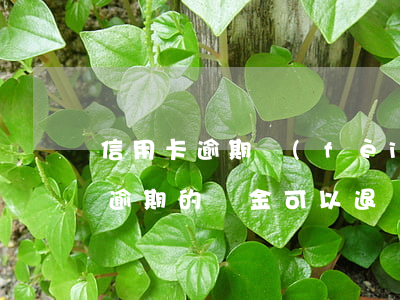 信用卡逾期費(fèi)用可以退嗎(信用卡逾期的罰金可以退還嗎)