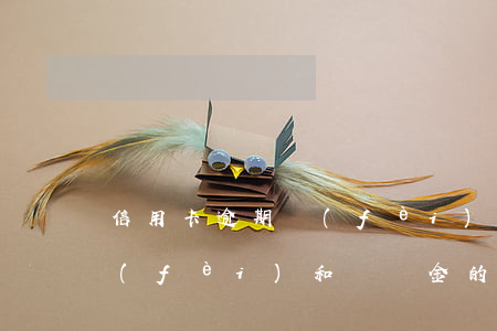 信用卡逾期費(fèi)用和滯納金(逾期費(fèi)和滯納金的區(qū)別)
