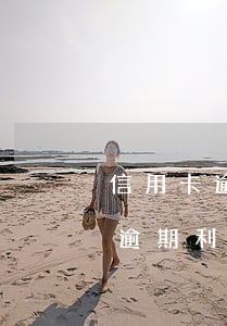 信用卡逾期費(fèi)用太嚇人了(信用卡逾期利息高嗎)