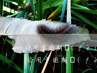 信用卡逾期費(fèi)用怎么算滯納金-信用卡逾期費(fèi)用怎么算滯納金的