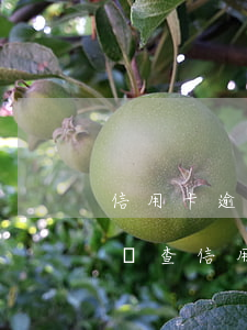 信用卡逾期費(fèi)用明細(xì) 怎樣查信用卡逾期金額