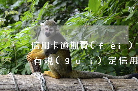 信用卡逾期費(fèi)用是啥錢 法律有沒有規(guī)定信用卡逾期收費(fèi)多少