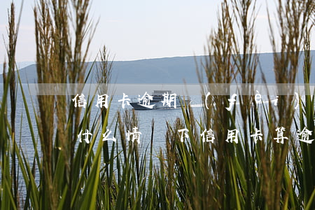 信用卡逾期費(fèi)用最高法怎么解釋(什么情況下信用卡算逾期)