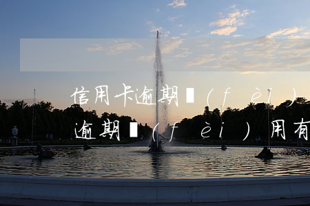 信用卡逾期費(fèi)用有多少-信用卡逾期費(fèi)用有多少天