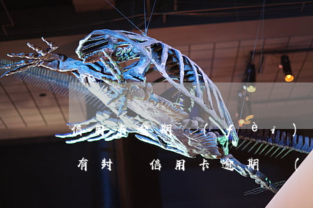 信用卡逾期費(fèi)用有沒(méi)有封頂(信用卡 逾期 費(fèi)用)