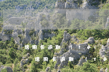 信用卡逾期費(fèi)用比本金高怎么辦-信用卡逾期費(fèi)用比本金高怎么辦呢
