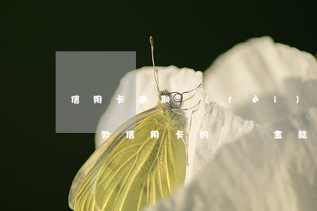 信用卡逾期費(fèi)用法院判決會減免嗎(欠信用卡的違約金能減免嗎)