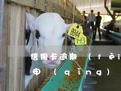 信用卡逾期費(fèi)用減免(信用卡逾期申請(qǐng)減免利息)