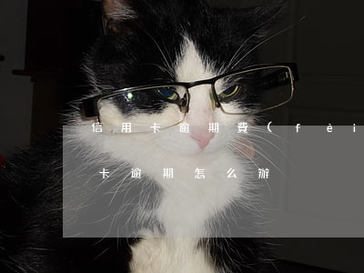 信用卡逾期費(fèi)用能投訴嗎-信用卡逾期怎么辦