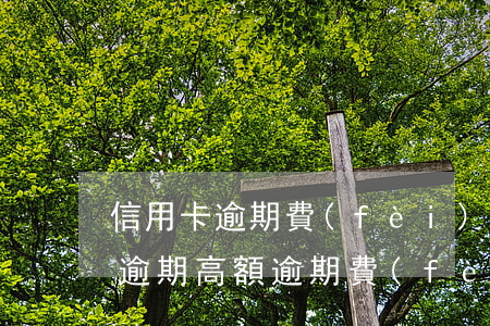 信用卡逾期費(fèi)用越收越高(信用卡逾期高額逾期費(fèi)用收取合法嗎)
