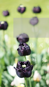 信用卡逾期費(fèi)用，避免高額罰款：理解信用卡逾期費(fèi)用及其影響