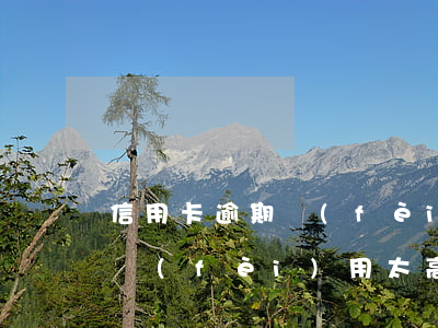 信用卡逾期費(fèi)用高嗎(信用卡逾期費(fèi)用太高)