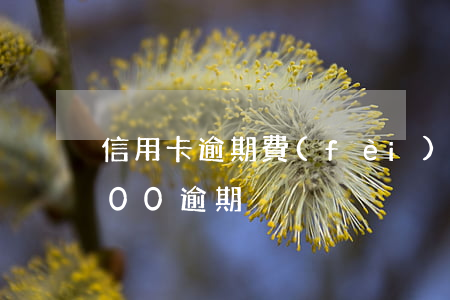信用卡逾期費(fèi)超36(信用卡6000逾期)