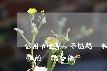 信用卡逾期費不能超過本金(逾期費用超過本金的貸款合法嗎)
