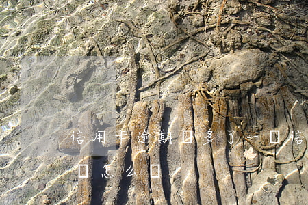 信用卡逾期費多了一萬(信用卡逾期1千多塊會怎么樣)