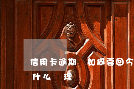 信用卡逾期費如何要回(今年的信用卡逾期有什么處理)