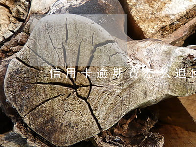 信用卡逾期費怎么追回(信用卡 逾期 費用)