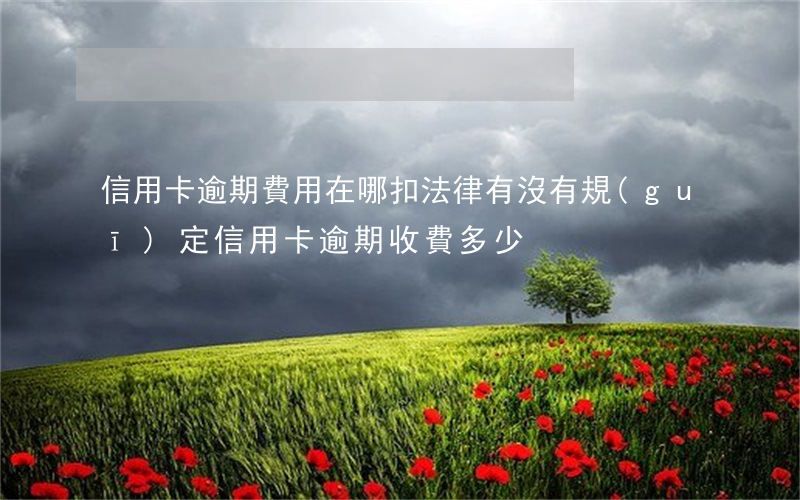 信用卡逾期費用在哪扣(法律有沒有規(guī)定信用卡逾期收費多少)