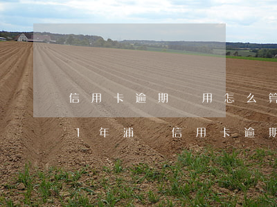 信用卡逾期費用怎么算滯納金浦發-2021年浦發信用卡逾期新法規