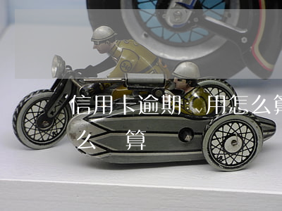 信用卡逾期費用怎么算的(信用卡逾期費率怎么計算)