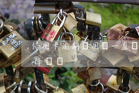 信用卡逾期費用會一直漲嗎(逾期了信用卡會降額嗎)
