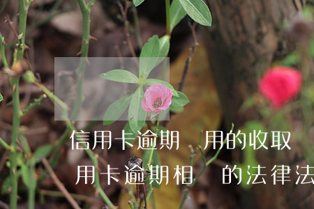 信用卡逾期費用的收取規(guī)則(與信用卡逾期相關的法律法規(guī))