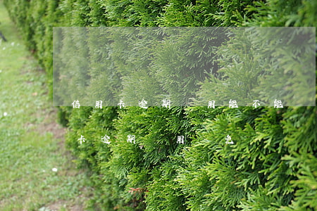 信用卡逾期費用能不能減免(怎樣和銀行信用卡逾期費用減免)