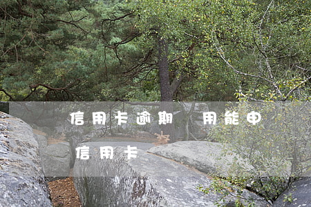 信用卡逾期費用能申訴嗎 逾期也可以申請的信用卡