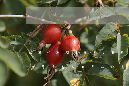信用卡逾期費用高么(國家規(guī)定的信用卡逾期費用收取是多少)