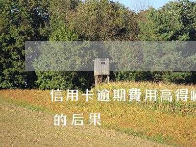 信用卡逾期費用高得嚇人(10張信用卡逾期的后果)