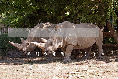 信用卡逾期費規(guī)定是多少(信用卡逾期費怎么算的)