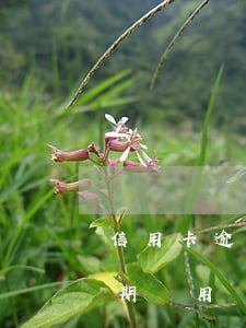 信用卡逾期費這么高找誰說理去-信用卡 逾期費用