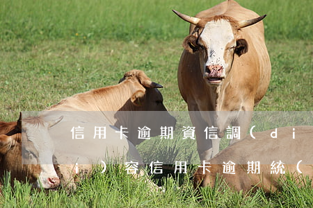 信用卡逾期資信調(diào)查內(nèi)容(信用卡逾期統(tǒng)計(jì))