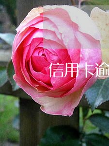 信用卡逾期資源哪里找